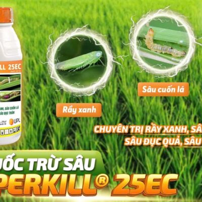 CYPERKILL 25EC *20 - Chai