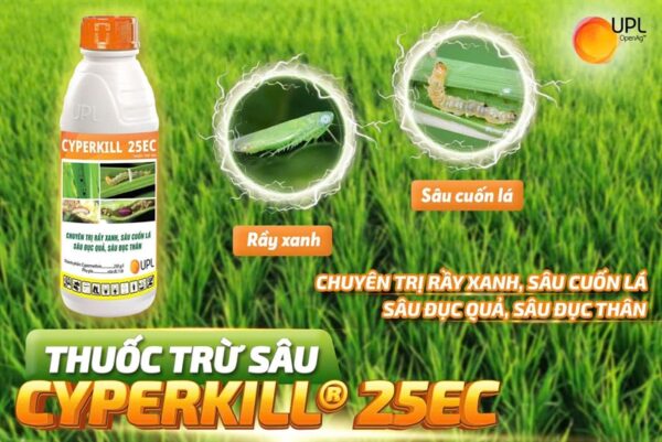 CYPERKILL 25EC *20 - Chai