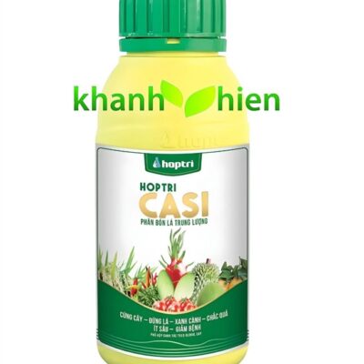 CASI HỢP TRÍ *20 - Chai