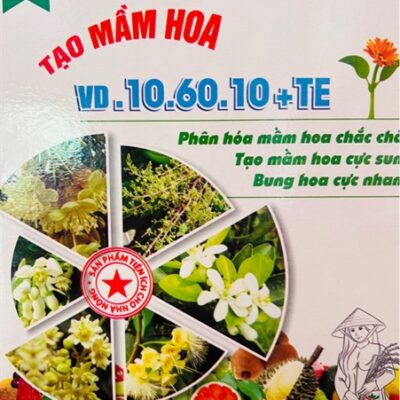 Vì Dân 10.60.10 Tạo Mầm Hoa*28 - Kg