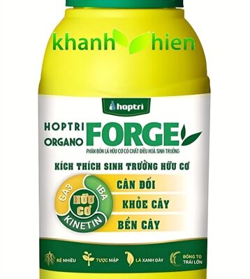 HOPTRI FORGE *40 - Chai