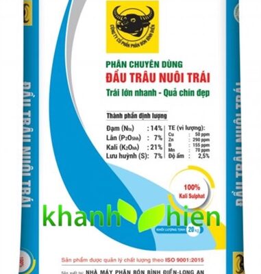 Đầu Trâu Nuôi Trái 14.7.21 - Bao