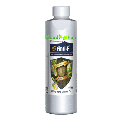 ANTI-F(ngăn ngừa xì mủ) *40 - Chai