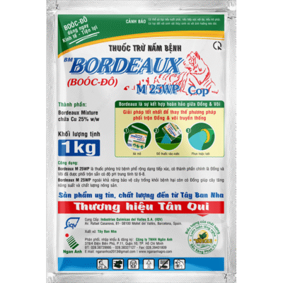 BORDEUX *20 - Bì