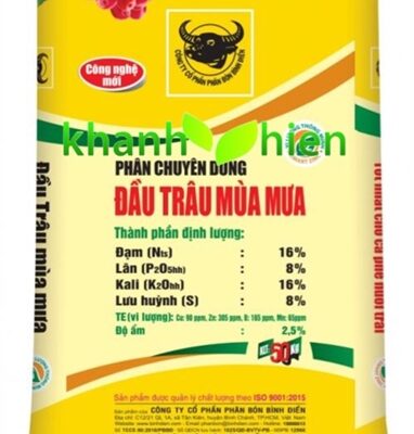 Đầu Trâu Mùa Mưa - Bao