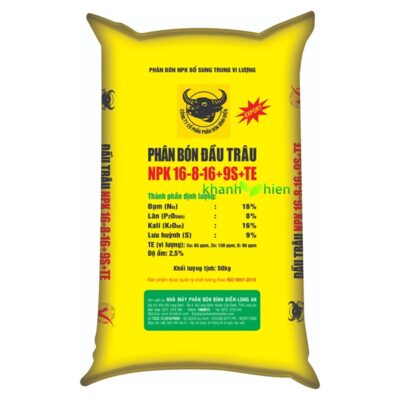 Đầu Trâu Vàng 16.8.16 9S - Bao
