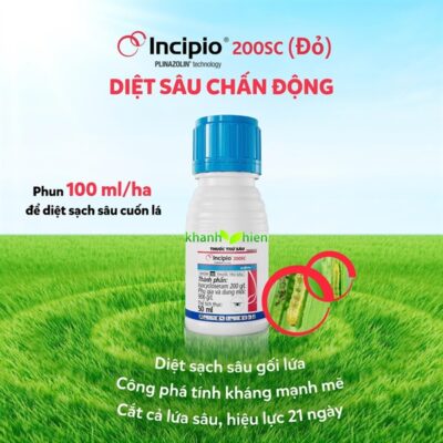 INCIPIO 100DC *100 - CHAI