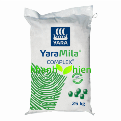 YARA COMPLEX 12.11.18 - Bao