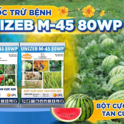 UNIZED M45 80w *14 - Kg