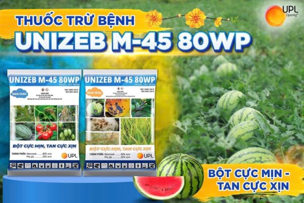 UNIZED M45 80w *14 - Kg