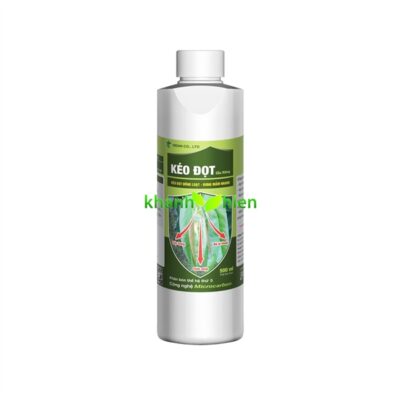 KÉO ĐỌT SẦU RIÊNG *40 - Chai