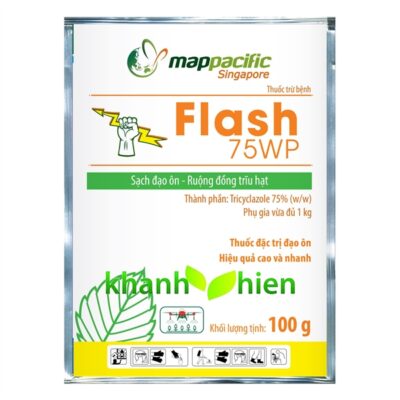 MAP FLASH - Gói