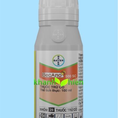 BECANO 500SC *20 - Chai
