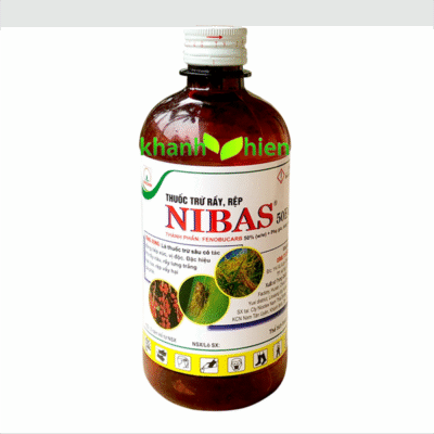 Nibas *40 - Chai