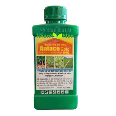 ANTACO GOLD ( vuông ) *32 - Chai