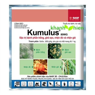 KUMULUS 80WP - Kg