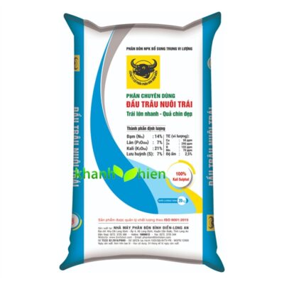 Đầu Trâu Nuôi Trái 14.7.21 - Bao