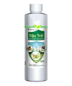 SIÊU ĐẬU TRÁI SẦU RIÊNG - Chai