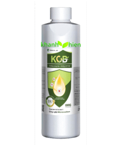 KALY CANXI BO KCB 3IN 1 VD *40 - Chai