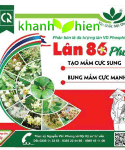 LÂN 86 VÌ DÂN - Hủ