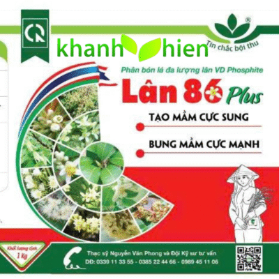 LÂN 86 VÌ DÂN - Hủ
