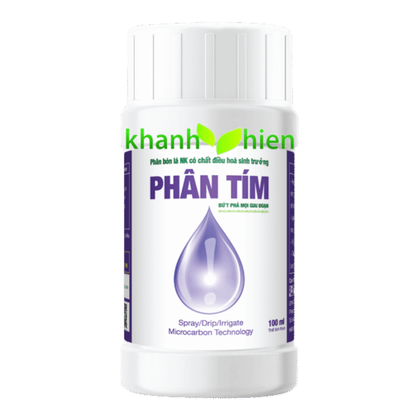 PHÂN TÍM VÌ DÂN *100 - Chai
